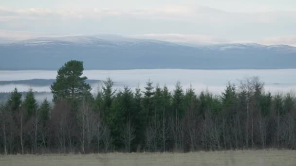 Paisagem Lakeside Fora Ostersund Pan Direita Floresta Coníferas Horizonte Nebuloso — Vídeo de Stock