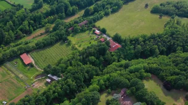 Flygfoto Runt Vingård Soliga Piemonte Italien Cirkling Drönare Skott — Stockvideo