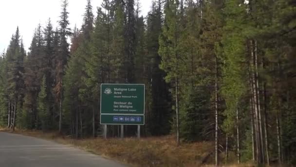 Maligne Lake Area Jasper National Park Road Sign Kanada Fahrersitz — Stockvideo