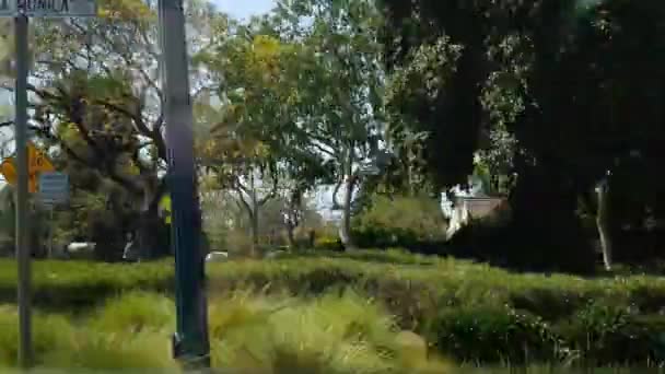 Condução Beverly Hills Califórnia Eua Parques Verdes Bairro Residencial Dia — Vídeo de Stock