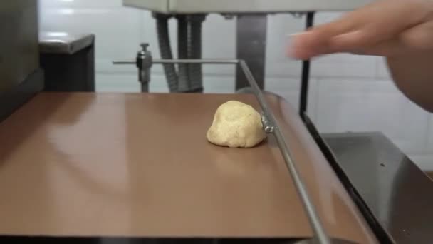 Überwachung Des Beginns Des Prozesses Von Weizenmehl Tortillas Von Knödel — Stockvideo