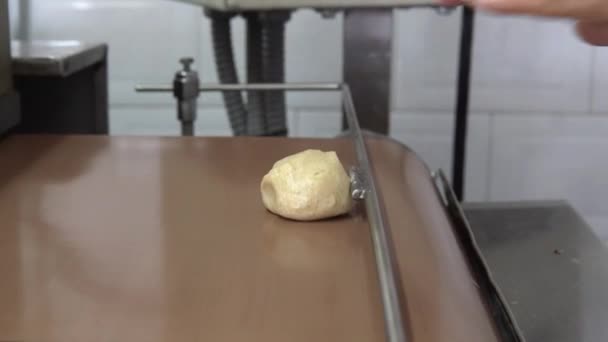 Tortilla Ręce Wprowadzenie Kulek Mąki Pszennej Zespół Aby Rozpocząć Proces — Wideo stockowe