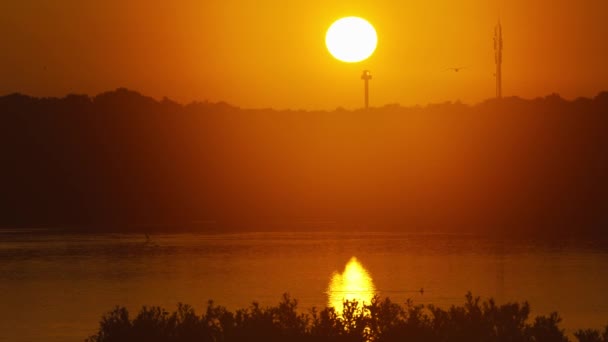 Güneş Doğarken Parlak Sarı Manzaranın Güzel Resimleri — Stok video