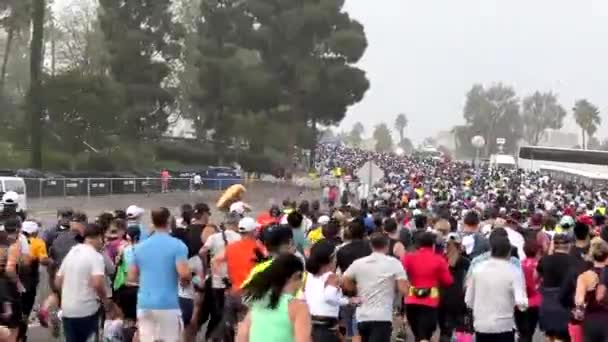 洛杉矶马拉松赛选手们在充满激情的人群后面的广阔视野 他们在一个多雾的早晨竞相跑 — 图库视频影像
