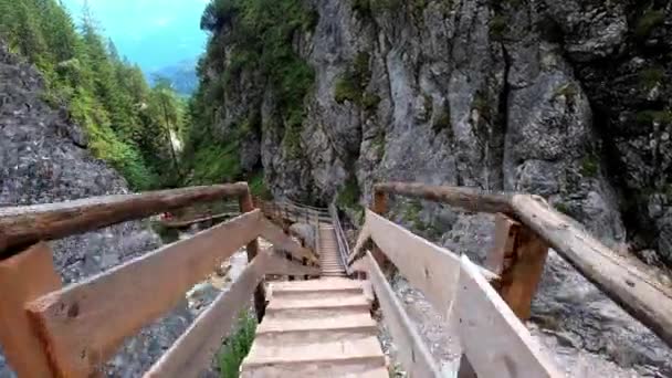 Sima Pov Felvételeken Fából Készült Lépcsők Egy Híd Keresztezi Vad — Stock videók