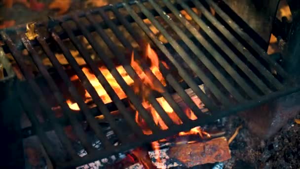 모닥불로 요리를 — 비디오