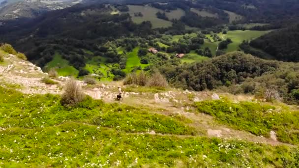 Aerial Scatto Zenital Uomo Con Una Valigia Che Cammina Una — Video Stock