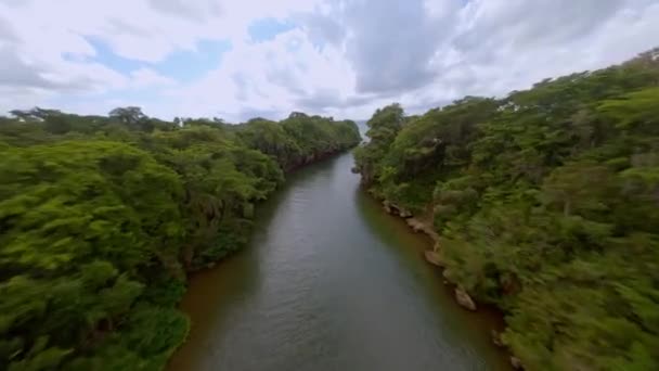 Vol Dynamique Fpv Dessus Rivière Yuma Entre Forêt Verte Jungle — Video