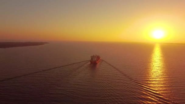 黄色の日没または日の出の間に水平線に航行する貨物船 — ストック動画