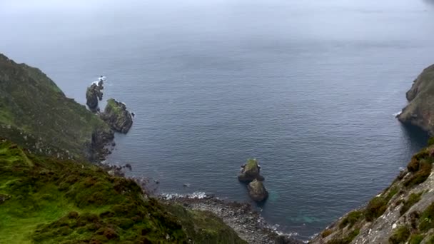 Top Skott Idylliska Branta Gröna Klippor Irland Dimmiga Och Regniga — Stockvideo