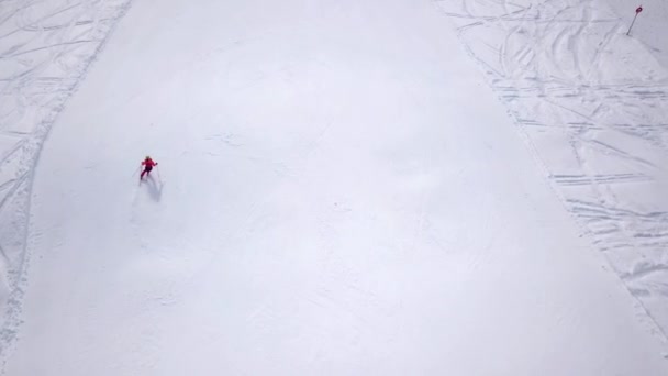 Aerial Ski Resort Sun Mountains Pine Forest Skiers Ride Snow — Stock Video