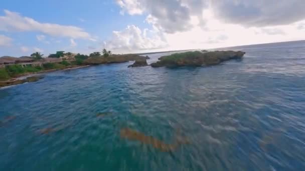 岩だらけの海岸線とカリブ海の澄んだ青い水に沿ってFpv航空便 ドミニカ共和国の緑豊かな田舎で撮影されたパノラマで上昇 — ストック動画