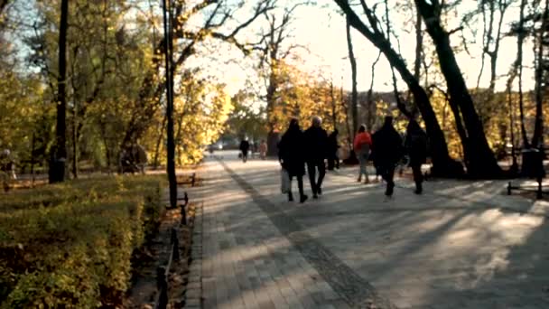 秋の日没時にポーランドのグダニスクの公園を歩く観光客 ワイドショット — ストック動画
