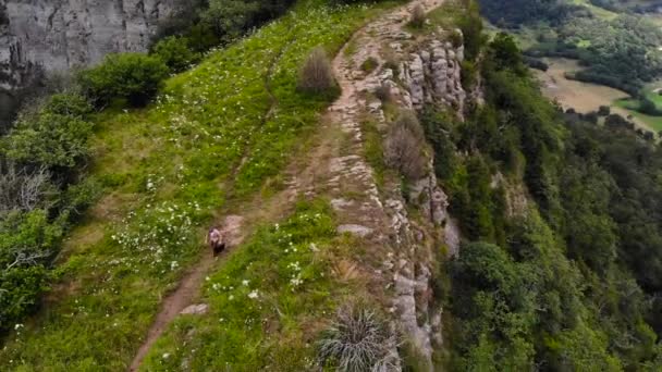 Aérea Disparo Zenital Hombre Con Una Maleta Caminando Sobre Acantilado — Vídeo de stock