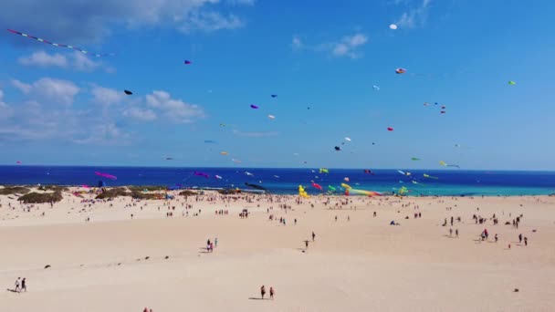 西班牙 卡斯特文图拉 卡斯特节 蓝绿色水风筝和金丝雀岛上的白色海滩 无人驾驶4K镜头 — 图库视频影像