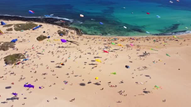 Kite Fest Fuerteventura Іспанія Фестиваль Cometas Змій Бірюзовій Воді Білий — стокове відео