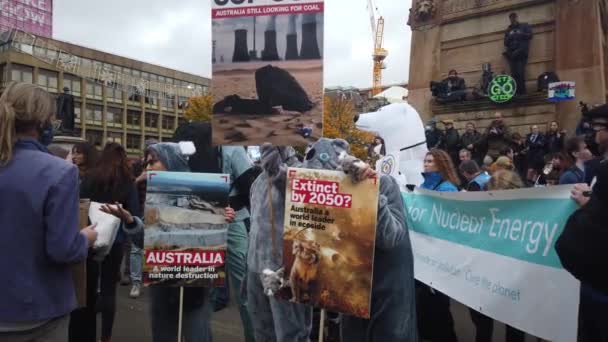 Протестующие Одетые Коалы Знак Протеста Против Изменения Климата — стоковое видео