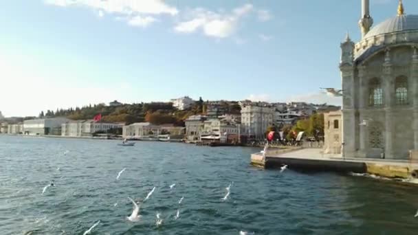 Gaviotas Volando Frente Hermosa Mezquita Bósforo Estambul — Vídeo de stock