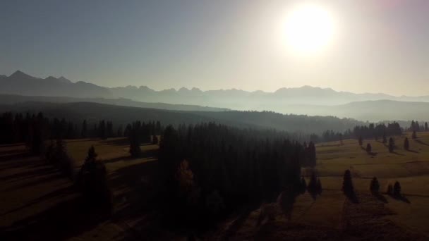 Bellissimo Paesaggio Montano Montagne Foresta Viste Dalla Vista Volo Uccello — Video Stock