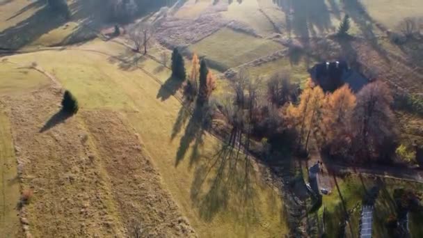 Uitzicht Vanuit Lucht Bos Bergen — Stockvideo