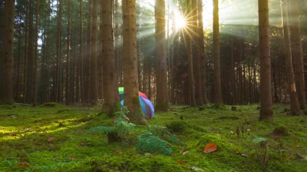 Sonnenstrahlen Fallen Durch Den Herbstlichen Wald Mit Einem Regenbogenfarbenen Regenschirm — Stockvideo