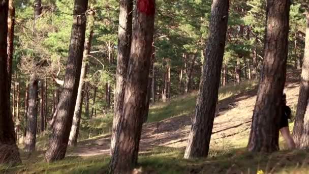 Mujer Senderismo Por Sendero Forestal Las Dunas Cerca Del Mar — Vídeos de Stock