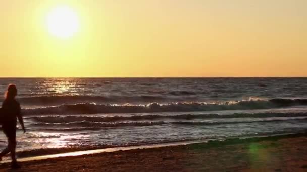 Flicka Promenader Stranden Vid Golden Hour Sunset Solen Går Ner — Stockvideo