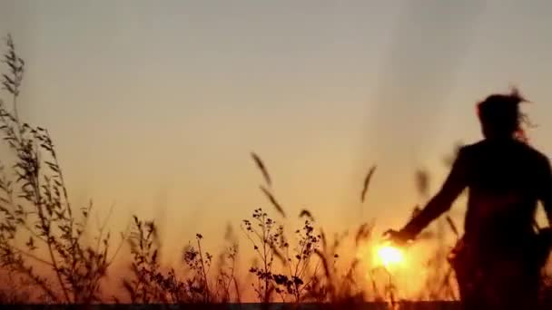 少女は牧草地を通って夕日に歩く 暖かい黄金の時間の太陽 風に舞う花 ハイキング 夏にはラトビアのアウトドアを探索してください 田舎暮らし — ストック動画