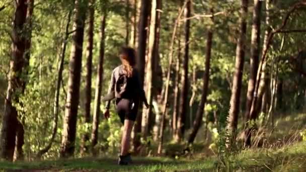 在一个多风的日子里 女孩在绿树成荫的森林里散步 在阳光下攀登一条自然小径 去徒步旅行 夏天在户外探索拉脱维亚 国内生活 农村生活 — 图库视频影像