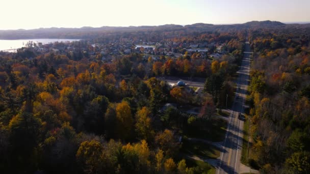 Couleurs Automnales Avec Feuilles Changeantes Aérien Dessus Lac Noir Près — Video