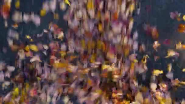 Який Вітер Переміщує Опале Листя Парковці Чорній Вершині — стокове відео