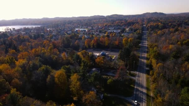 Alta Antena Hojas Cambiando Color Finales Otoño Muskegon — Vídeos de Stock