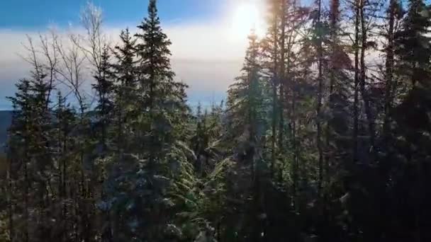 Letecký Pohled Zasněžené Stromy Odhalující Malebnou Horskou Krajinu Lac Beauport — Stock video