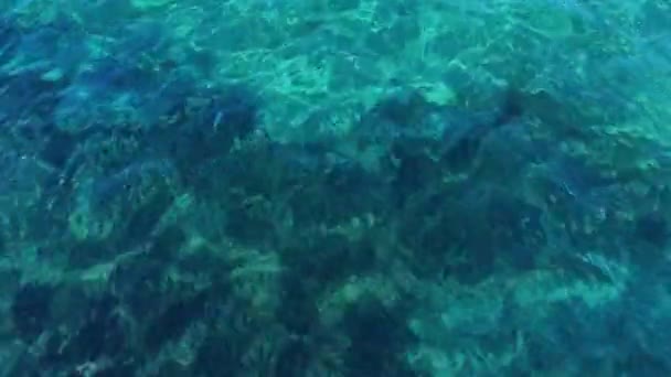 Havadan Bakıldığında Sığ Şeffaf Kayaları Okyanusu Gösteren Tairona Ulusal Doğal — Stok video