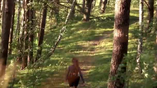 Dívka Kráčí Kopce Zeleném Lese Turistika Naučné Stezce Slunci Jít — Stock video