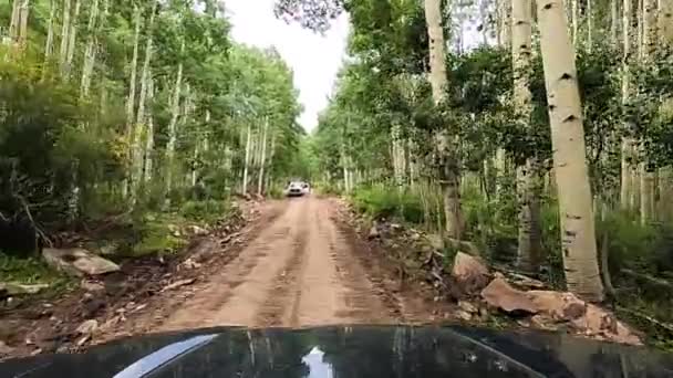 Reunião Ford Pegar Caminhão Estrada Estreita Floresta Cascalho Com Pedras — Vídeo de Stock