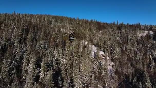 Vista Aérea Drones Sobre Uma Casa Montanha Floresta Nevada Lac — Vídeo de Stock