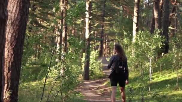 Девушка Гуляет Зеленому Лесу Прогулка Природе Солнечным Светом Прогулки Прогулки — стоковое видео