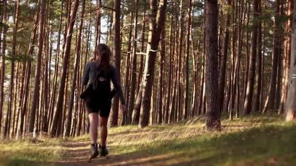 Mädchen Bei Einem Spaziergang Einem Kiefernwald Einem Windigen Tag Wandern — Stockvideo