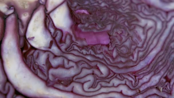 两片有机红紫色卷心菜 看起来像大脑的纹理架 集中在封闭盘上 自然美与模式 家庭烹饪与健康食品概念 — 图库视频影像