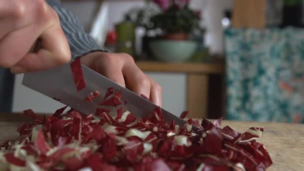 Cierre Mano Mujer Inclinada Cortando Suavemente Achicoria Italiana Con Cuchillo — Vídeo de stock