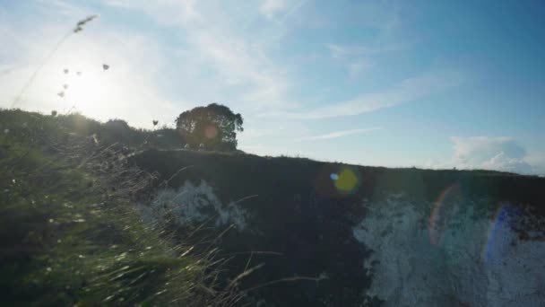 Güneşli Bir Günde Dorset Ngiltere Deki Old Harry Rocks Yemek — Stok video