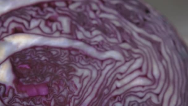 Repollo Rojo Púrpura Orgánico Rodajas Que Parece Textura Del Cerebro — Vídeo de stock