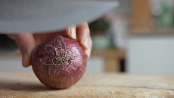 Närbild Kvinnans Hand Börja Skära Italienska Röda Lök Med Vass — Stockvideo