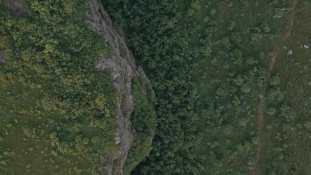 Von Oben Nach Unten Steile Senkrechte Felswand Mit Grüner Vegetation — Stockvideo