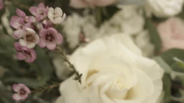 Makro Zblízka Svatební Květinové Dekorace Bílými Růžovými Květy Zelenými Listy — Stock video