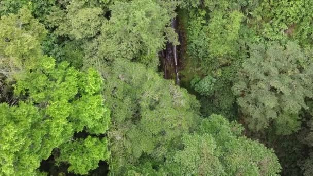 Водопад Джунглях Сальвадор — стоковое видео