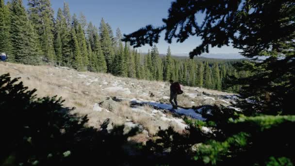 Ember Túrázik Hegyekben Kempingezés Közben Gyönyörű Colorado Keres Egy Helyet — Stock videók