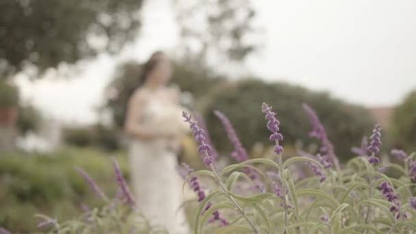 紫色の花を閉じて 結婚式の日に夫婦が背景にぼやけて — ストック動画