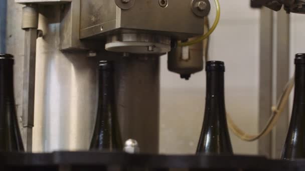 Wine Bottles Lifted Corking Machine Get Corked Wine Bottling Process — Stock Video